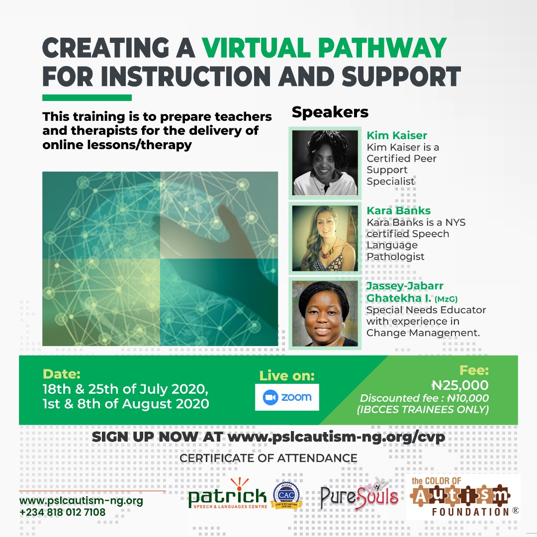 Creating a Virtual Pathway for Instruction and Support